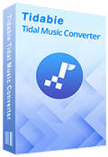 tidal music converter box