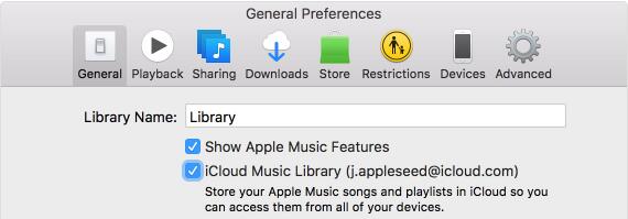 Turn on iCloud Music library on computer