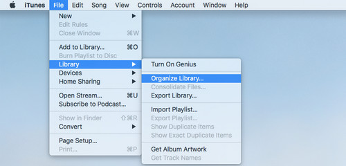 the best music library organizer for mac