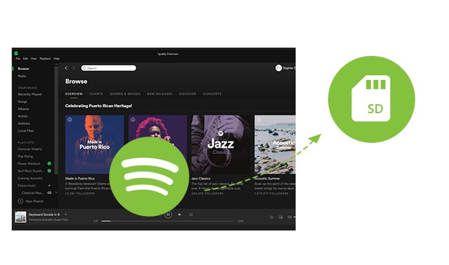 download spotify music to sd card