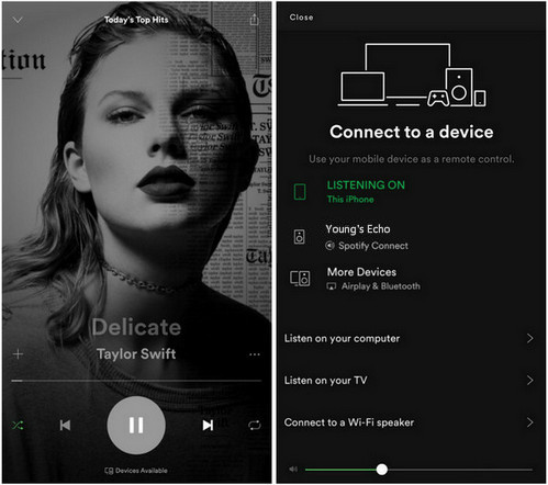 Play Spotify Music on Echo