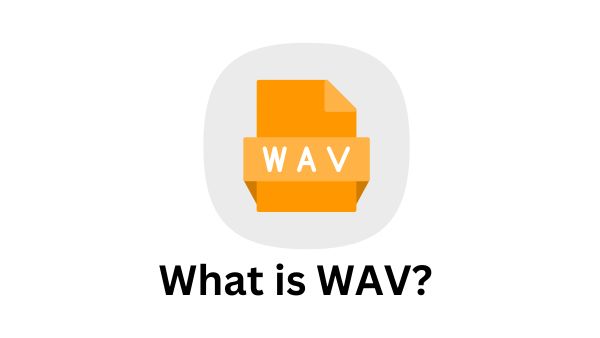 what is wav