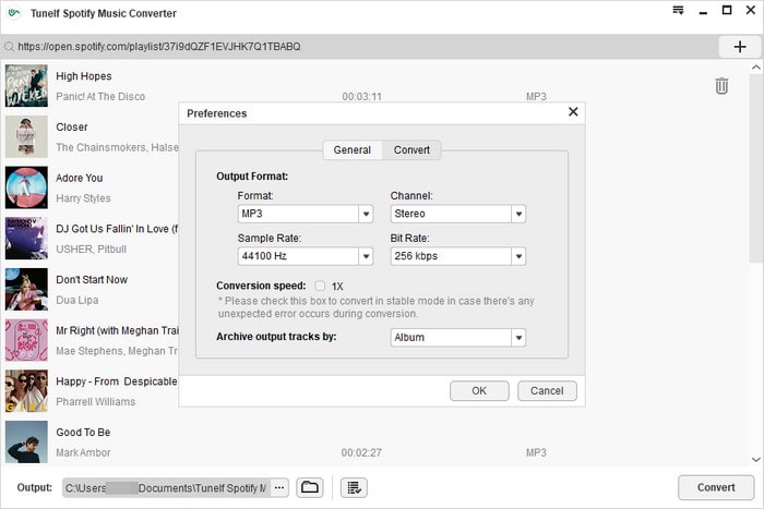 set up tuneif spotify converter